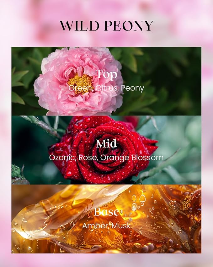M&SENSE Wild Peony & Jasmine Scented Candles, Subtle Scented Vegan Soy Candle, 7.8oz 42-Hour Long Last Burning Time, No Toxin Bathtub Date Night Romance Home Fragrance for Her