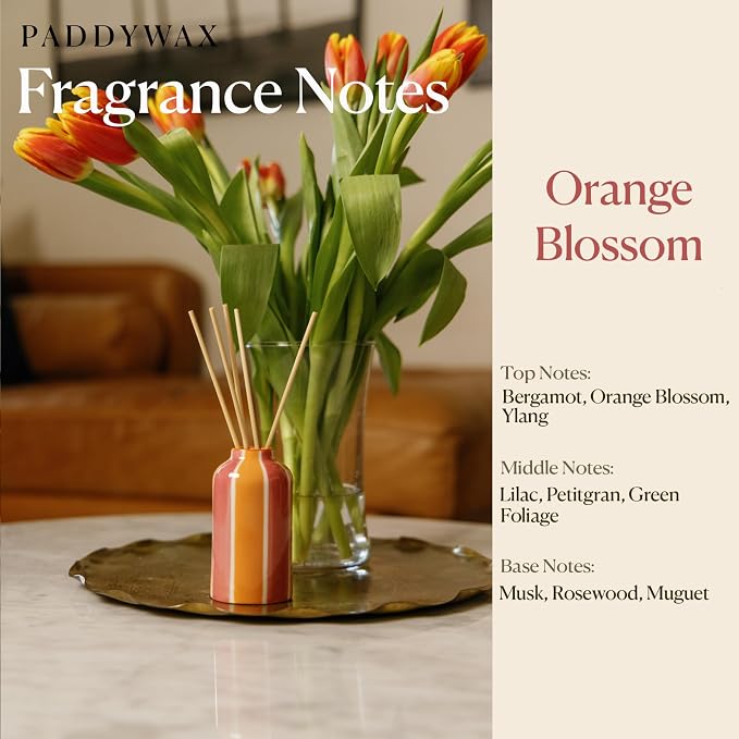 Paddywax A Dopo Reed Diffuser with Wooden Reeds, Long Lasting Home Fragrance Oil, Hand Painted Ceramic Vessel, Decorative Scent for Home, Giftable Box, 4 fl oz, Orange Blosom