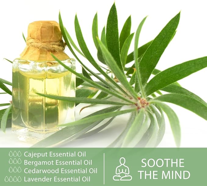 Cajeput 1.01fl.oz Essential Oil, PHATOIL Pure Aromatherapy Oils for Diffuser, Humidifier, Perfect for DIY Soap, Candle, Bath Bombs Making(30ml)
