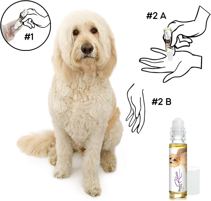 The Blissful Dog Goldendoodle Relax Roll-ON Aromatherapy for Dogs - Anxiety Relief for Dogs