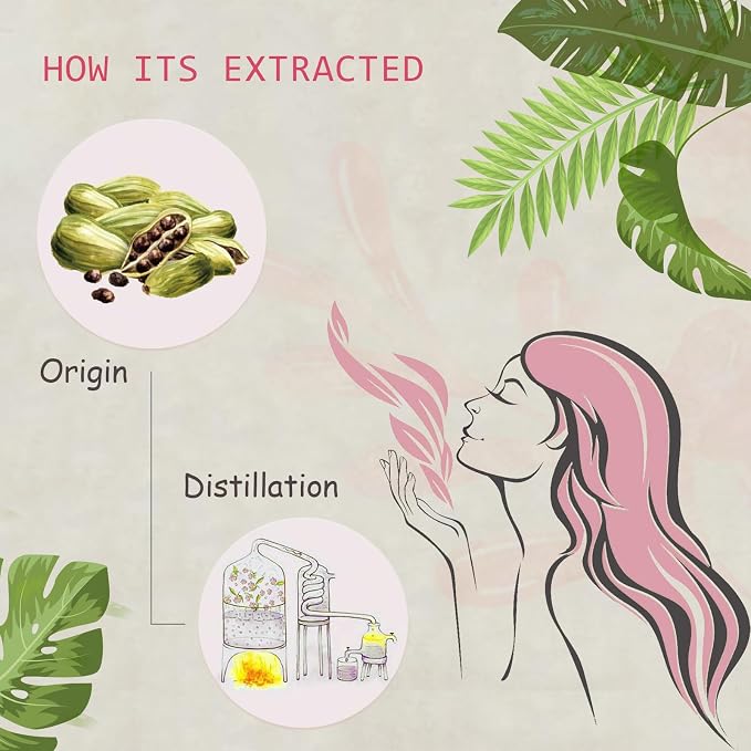 Cardamom Essential Oil - 100% Pure Organic Natural Plant (Elettaria cardamomum) Cardamom Oil for Diffuser, Aroma, Spa, Massage, Yoga, Perfume, 0.33oz