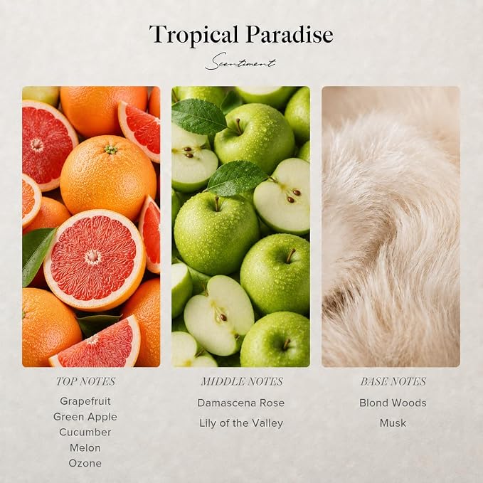 Scentiment Tropical Paradise Diffuser Oil - Premium Hotel Scent with Notes of Grapefruit, Green Apple & Musk Home Scent, Hotel Fragrance Oil Diffuser Refill - 4.06 fl oz (120 mL)
