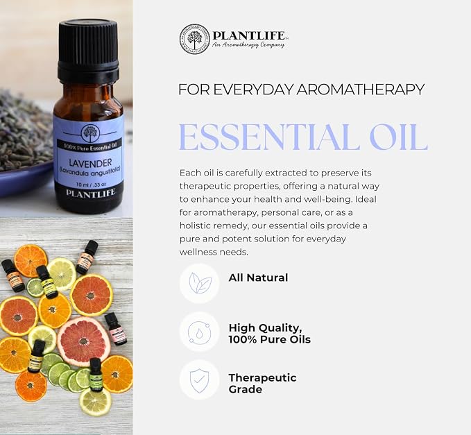 Plantlife Oregano Aromatherapy Essential Oil - Straight from The Plant 100% Pure Therapeutic Grade - No Additives or Fillers - 10 ml