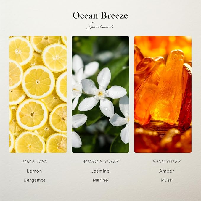 Scentiment Ocean Breeze Diffuser Oil - Premium Hotel Scent with Notes of Bergamot, Lemon, Jasmine with Marine & Amber Home Scent, Hotel Fragrance Oil Diffuser Refill - 16.91 fl oz (500 mL)