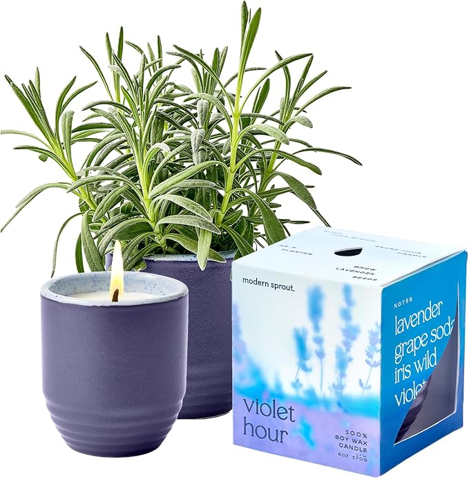 Modern Sprout - 2-in-1 Soy Candle & Planter - Violet Hour (Lavender, Grape Soda, Wild Iris, Violet) 6 Oz Scented Candle w/Lavender Seeds - Ceramic Vessel Dual Purpose Jar - 38-40 Hour Burn