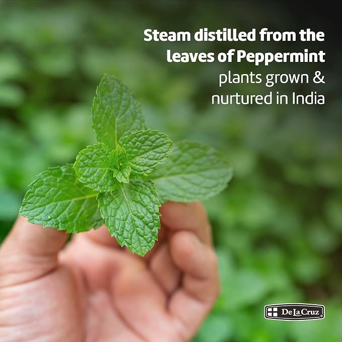 De La Cruz Peppermint Essential Oil - 100% Peppermint Oil for Aromatherapy - Steam Distilled - 1 Fl OZ (3 Bottles)