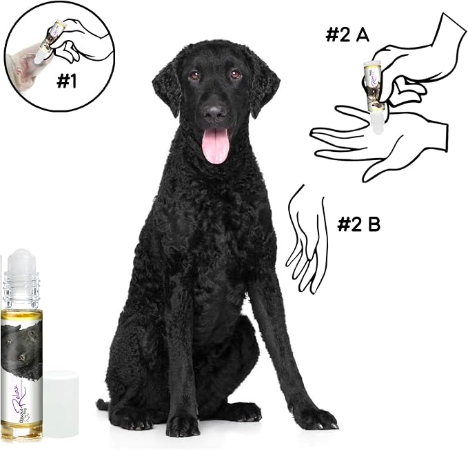 The Blissful Dog Curly-Coat Retriever Relax Roll-ON Aromatherapy for Dogs - Anxiety Relief for Dogs