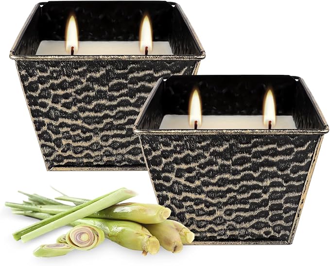 2Pcs Citronella Candles Outdoor Indoor-Large 12oz Scented 50H Long Lasting Summer Candle Bulk for Home Decor, Garden,Party,Backyard & Camping(2-Wick)