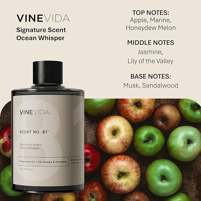 VINEVIDA [16oz] Scent No.81 Fragrance Oil for Candle Making and Soap Making - Premium Candle Scents for Soy Candles