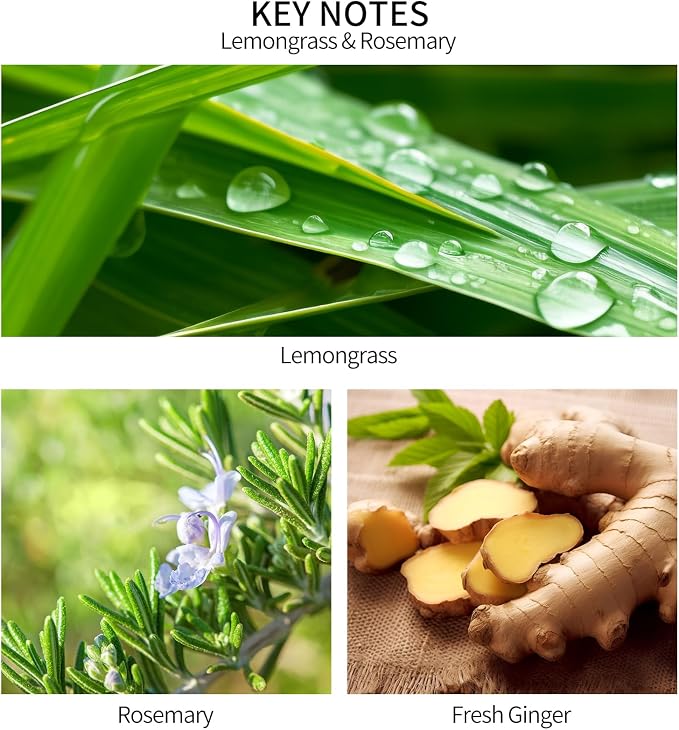 Reed Diffuser, Lemongrass Rosemary Fresh Ginger Scented Oil Refill with Diffuser Sticks, 6.8 Fl Oz (200ml) Essential Oil Diffuser for Bathroom, Elegant Fragrance for Room Decor