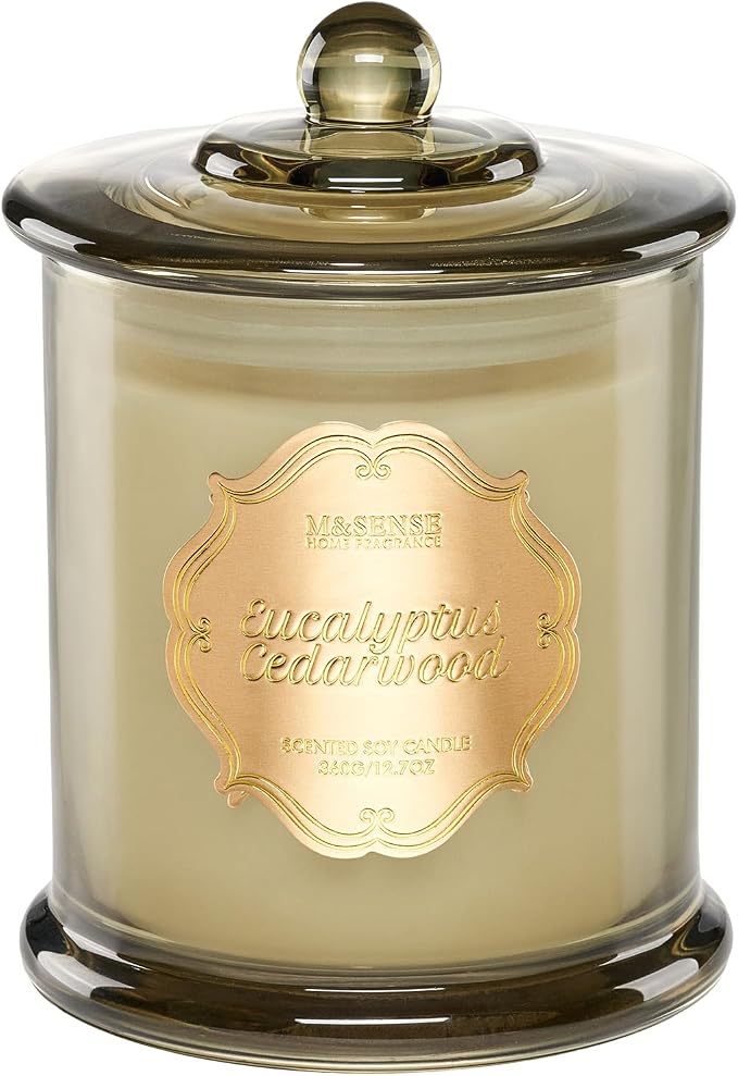 M&SENSE Eucalyptus Cedarwood Soy Candle, 2 Wick 75H Home Decor | Non-toxic, Long-lasting Aromatherapy Candles Relaxing Scent,Housewarming Gift