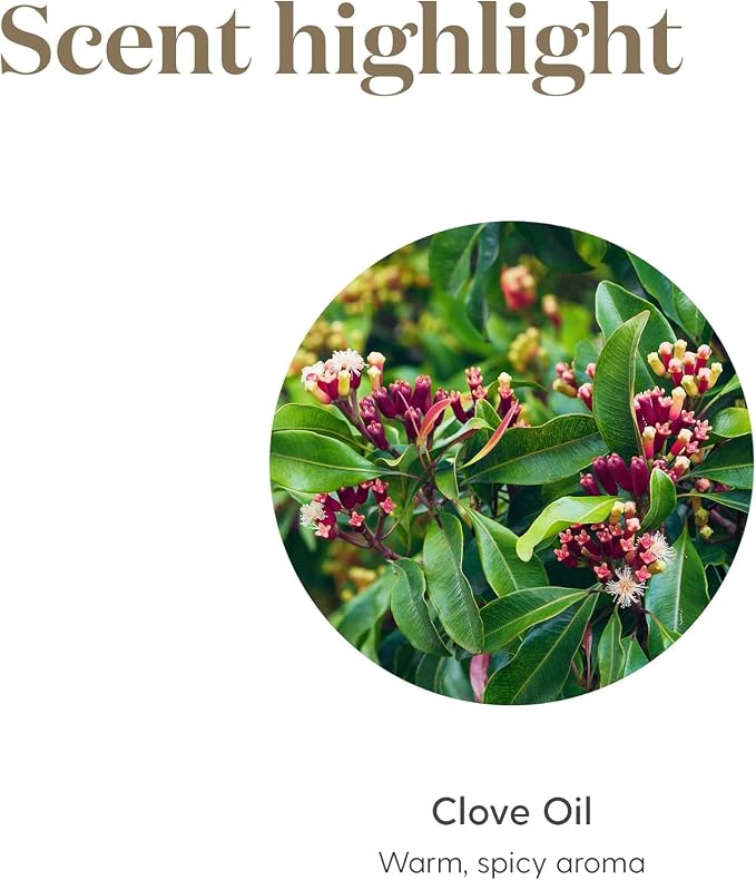 Young Living Clove Essential Oil - 15ml Bottle for Aromatic and Topical Use - Aromatherapy - Warm, Stimulating Aroma that Provides Cleansing Properties - Contains Antioxidants