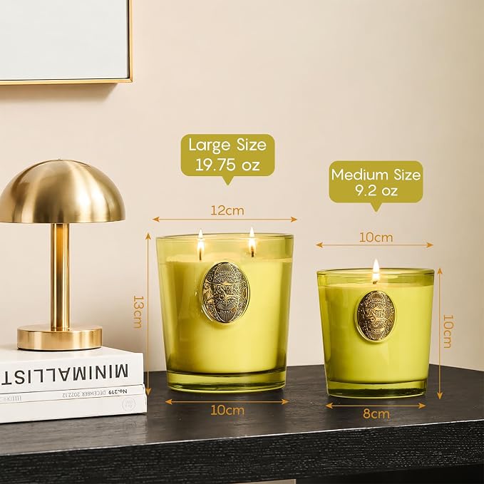 M&SENSE Large Two-Wick Soy Candle | Seattle Rainforest & Matcha Green |19.8 oz, 120H Burn Time | Luxury Scented Candle for Relaxation, Gifting, Home Décor | Ideal for Bedroom, Office, Party Ambiance