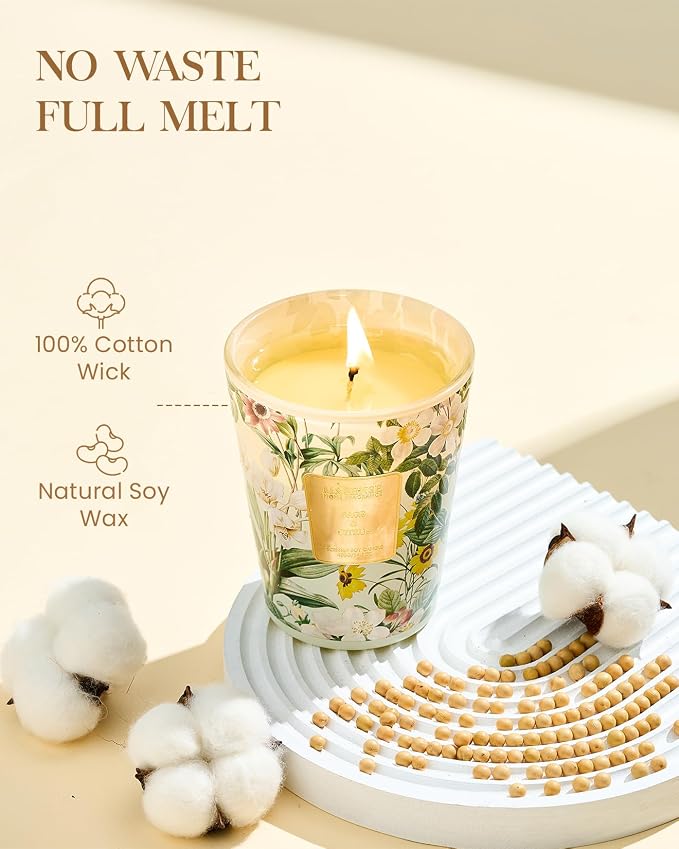M&SENSE Sage Citrus Summer Scented Candle, 14.1oz Non Toxic Natural Soy Wax Candle for Home, 60 Hours Long Lasting Aromatherapy Candle for Stress Relief, Fresh Smelling Candle Gifts for Bathroom Decor