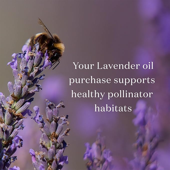 Young Living Lavender Essential Oil | 15 ml | Soothing & Relaxing Aroma for Massage, Aromatherapy, & Skin Care | Calms the Mind & Enhances Relaxation | Authentic Fragrance for Perfume