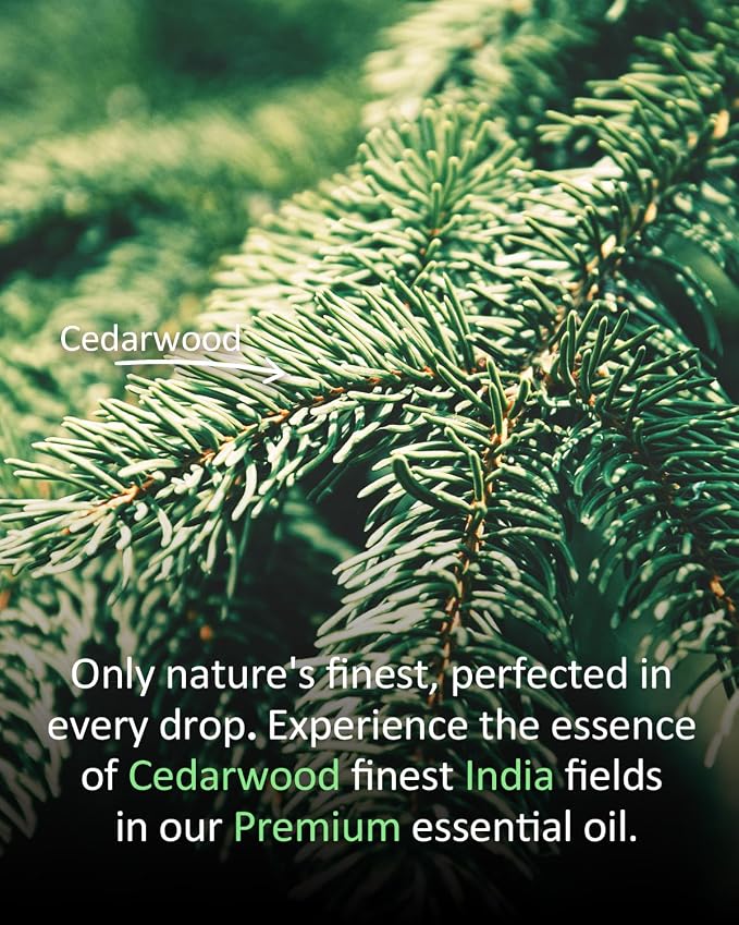 Pure Cedarwood Essential Oil 4 fl oz (120 ml) – 100% Natural, Warm Woody Aroma, Large Size for Diffusers, DIY Candles, Soaps, Sprays, Home Aromatherapy