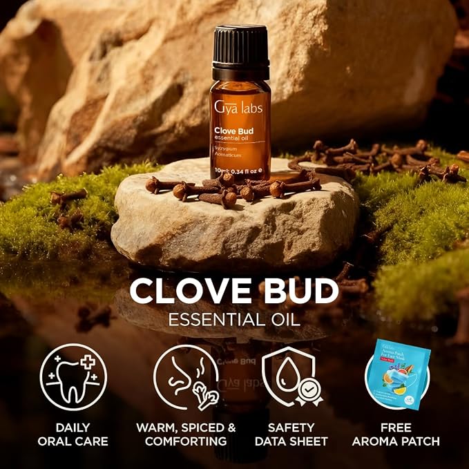 Gya Labs Clove Essential Oil - 0.34 Fl Oz - for Hair, Skin, Diffuser, Aromatherapy & DIY Candle Making Scent (Pack of 2)
