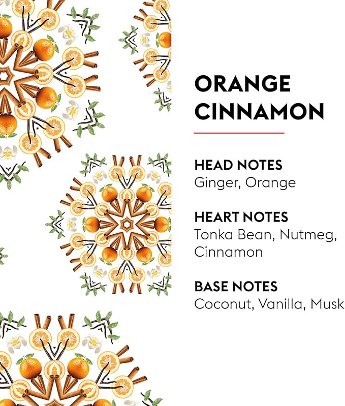MAISON BERGER Reed Diffuser Bouquet, 100 ml, Orange Cinnamon | Clear Glass Bottle, 8 Reed Sticks, 100 ml Refill, Up to 6-Week Passive Diffusion, No Flame, Made in France