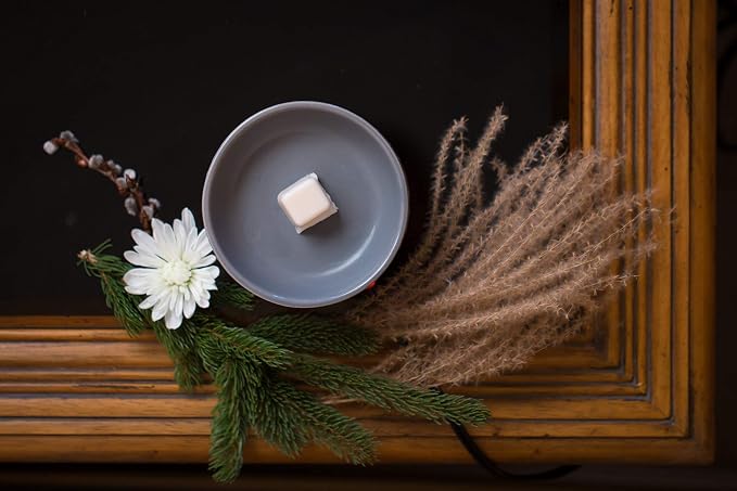 Aira Soy Wax Melt - Organic, Vegan, Kosher, Scented Soy Wax Cubes w/Essential Oil Blends - No Chemical 100% Soy Tart for Electric/Tealight Melters - Hand-Poured Soy Tarts - Lavender - 2 Pack