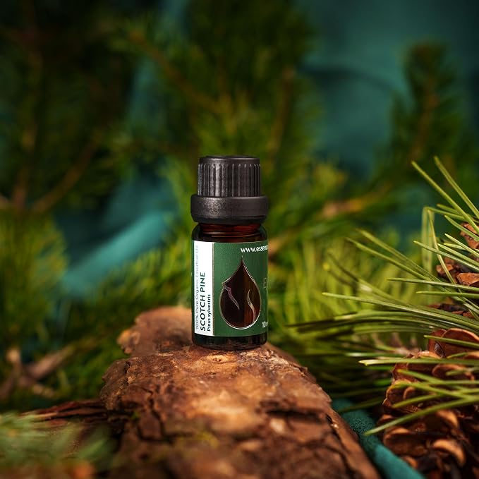 Organic Scotch Pine Essential Oil 1/3 Fl Oz (10ml) Pinus Sylvestris - 100% Pure Natural and Undiluted Therapeutic Grade for Aromatherapy Diffuser Humidifier Skin Care DIY Cosmetics