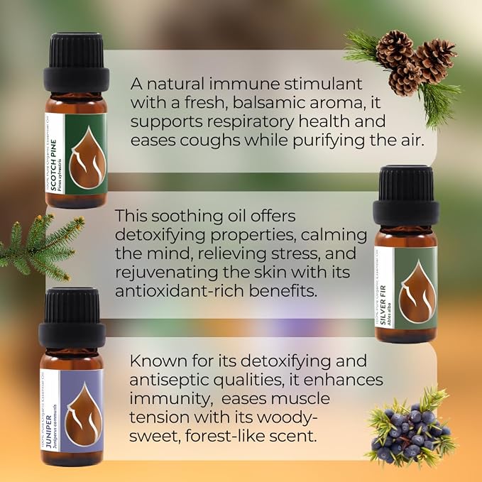 Set Forest Magic - Organic Essential Oils - Scotch Pine + Juniper + Silver Fir - 100% Pure and Natural Undiluted Aromatherapy Stress Relief Fresh Pine Resinous Aromas (3pcs x 10ml)