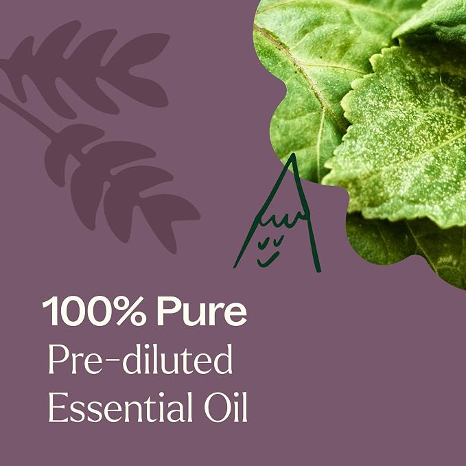 Plant Therapy Aged Dark Patchouli Essential Oil Roll-On 10 mL (1/3 oz) Pre-Diluted in Fractionated Coconut Oil, Long-Lasting, Personal Fragrance,100% Pure, Natural, Expertly Aged for Depth, Rich Aroma