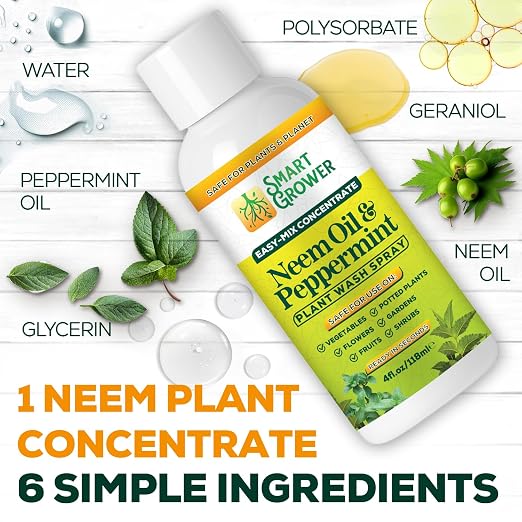 Neem Oil Spray for Plants with Peppermint Oil – for Indoor & Outdoor Plants, Gardens, & Houseplants– Best Value Refill 4 oz Concentrate Makes 1/2 Gallon RTU