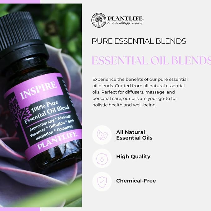 Plantlife Meditate Aromatherapy Essential Oil Blend - Straight from The Plant 100% Pure Therapeutic Grade - No Additives or Fillers - Made in California 10 ml