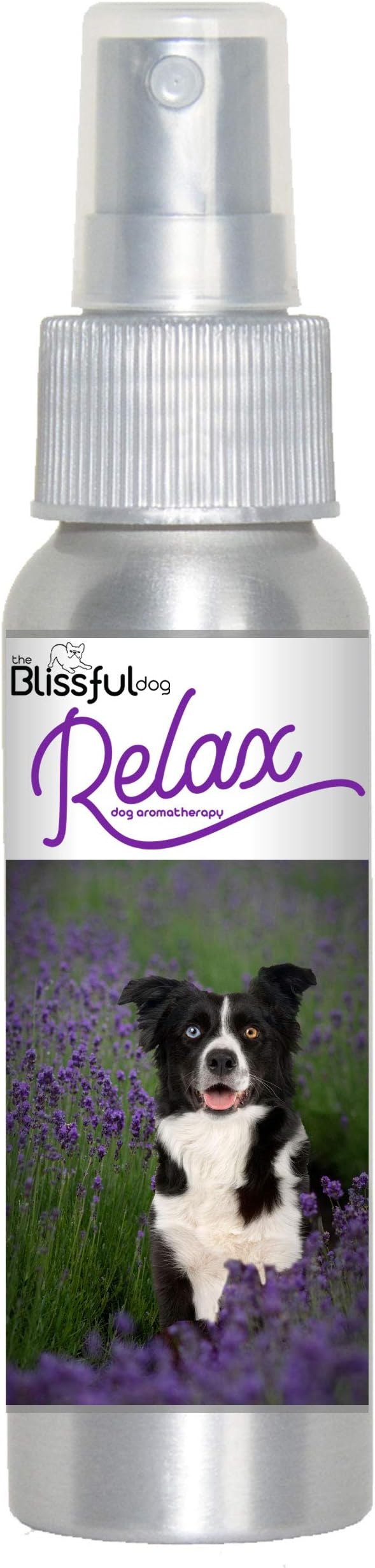 The Blissful Dog Border Collie Relax Dog Aromatherapy Spray for Your Dog's Anxiety