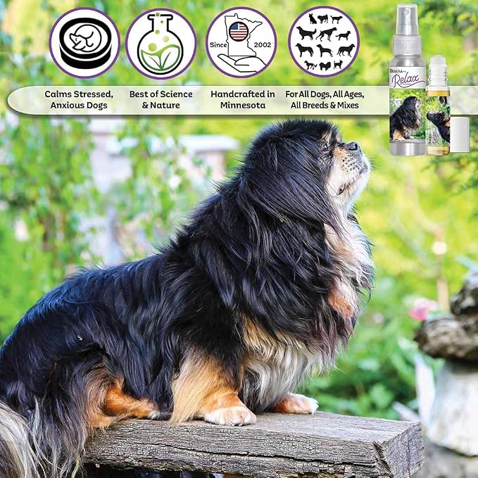 The Blissful Dog Tibetan Spaniel Relax Dog Aromatherapy Spray for Your Dog's Anxiety