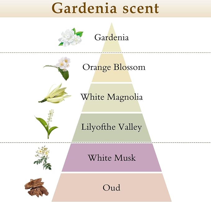XEPTLE Reed Diffuser Set, 7.04 oz Creamy Gardenia Scent Diffuser with 5 Sticks, Long Lasting Air Freshener, Essential Oil Reed Diffuser, Home Fragrance for Office, Bathroom Shelf Decor, White