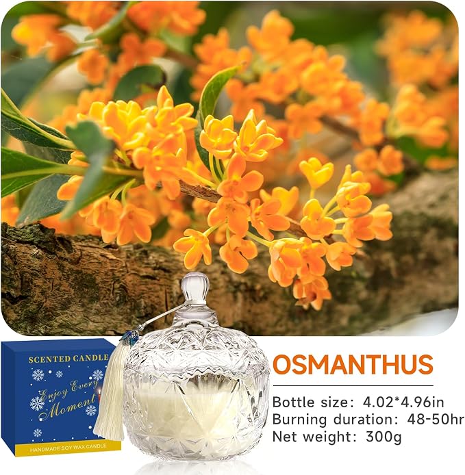 Osmanthus Candle,7oz Jar Scented Candles Gift for Women,Home Decor | Long Burning,Clean Soy Wax Jar Candle,Home Fragrance,Aroma,Thoughtful Gift for Holiday,Birthday,Mother's Day,Housewarming