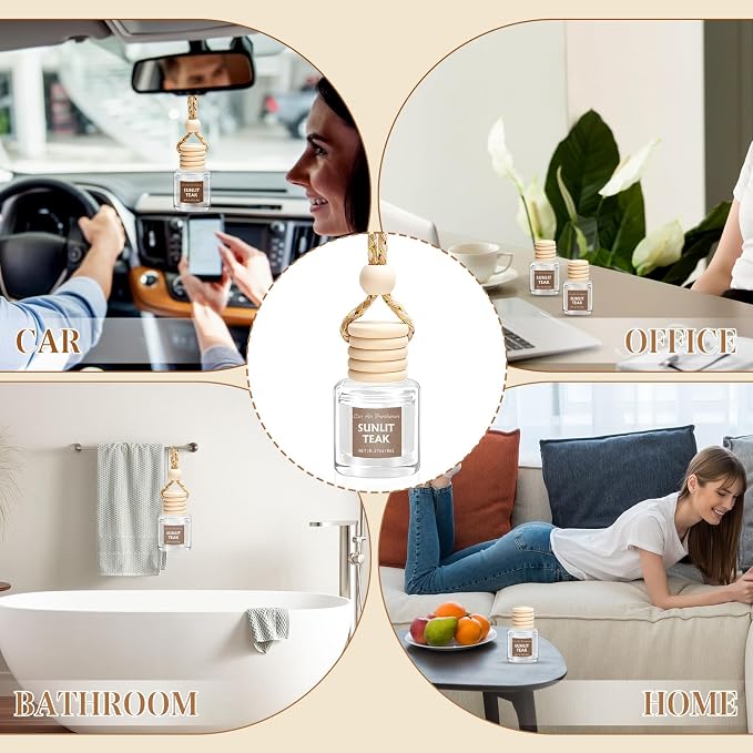 AROIC 6 Pack Car Air Freshener, Mahogany Premium Woody Car Air Freshener Diffuser Fragrance, Hanging Essential Oil Diffuser for Interior Decor, Long Lasting Car Accessories Unisex (Sunlit Teak Scent)
