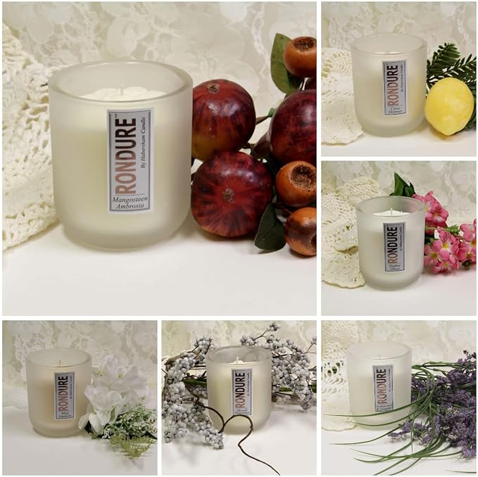 Habersham Rondure Candle – Mangosteen Ambrosia Scented Candle, Up to 55 Hours Burn Time, Authentic and Long Lasting Fragrance, Soy Blend Wax, 9.5 oz Glass Jar Candle