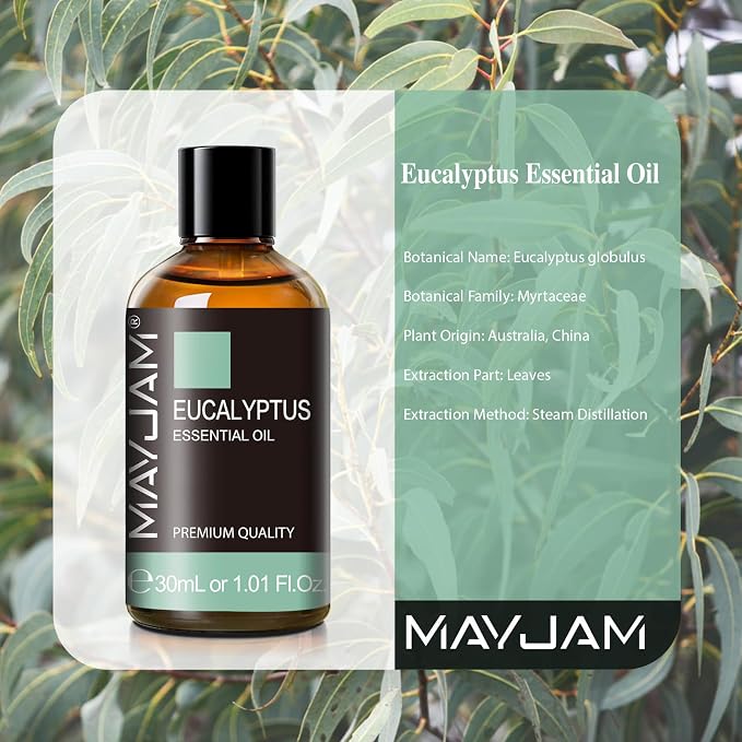 Eucalyptus Essential Oil, MAYJAM 30ML/1.01FL.OZ Pure Eucalyptus Oils for Diffusers, Soap Candle Making, Perfect for Living Room Bedroom Office Car Use