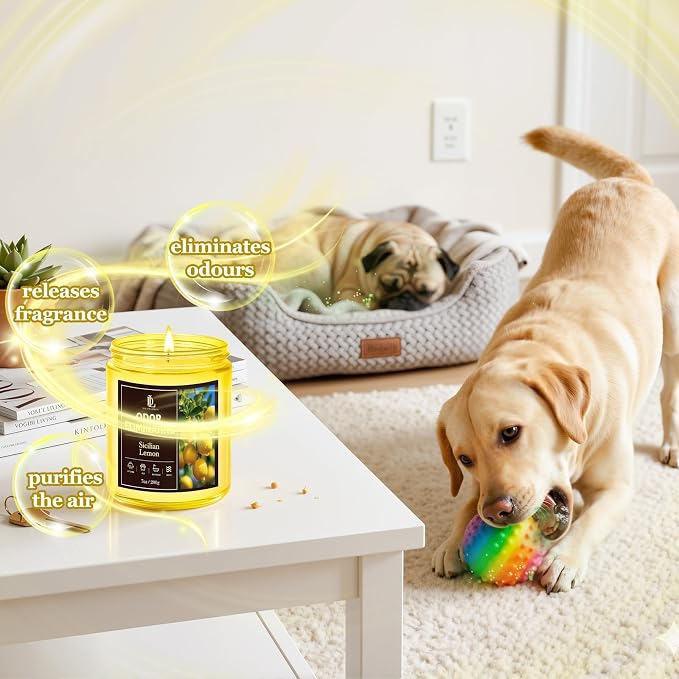 4 Pack Odor Eliminating Highly Fragranced Candle, Eliminates 95% of Food, Pet, Smoke, and Bathroom Quickly, Air Freshing Scents of Lemon/Mint Eucalyptus/Coconut/Roses, Soy Candles Gift for Women Men
