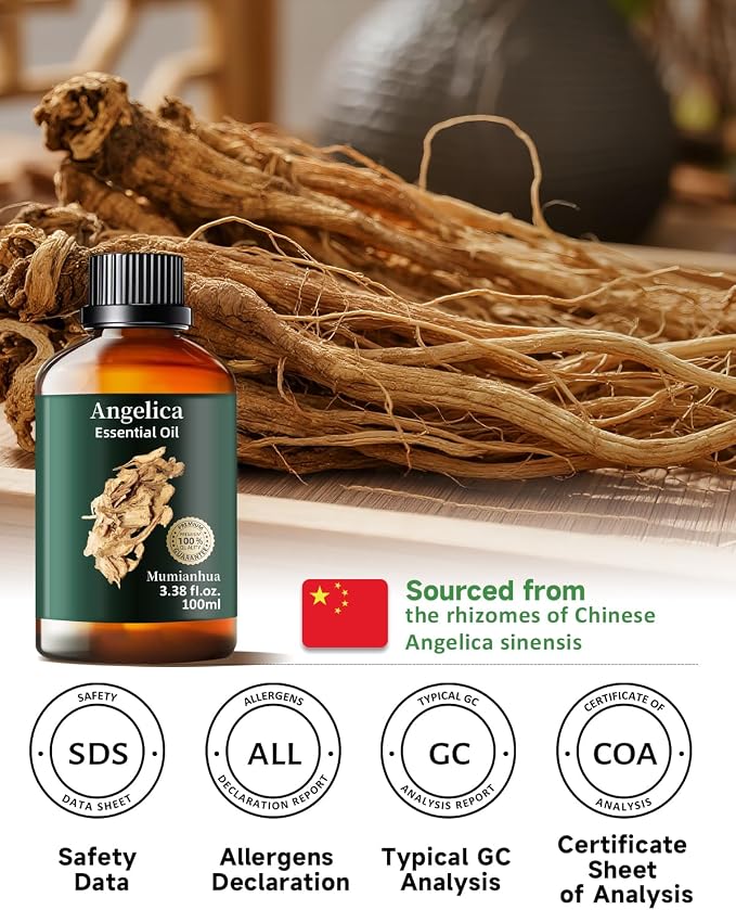 Angelica Root Essential Oil, Pure Angelica Oil Mumianhua Grounding & Calming Aroma for Meditation, Yoga, Diffuser & Mind Wellness, Steam Distilled, 3.38 Fl Oz