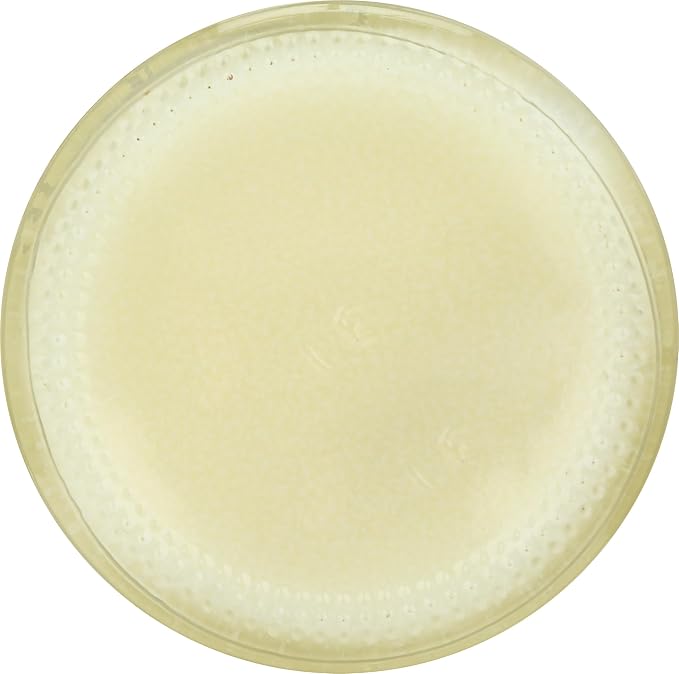 Tea Tree Therapy Antiseptic Ointment 2oz