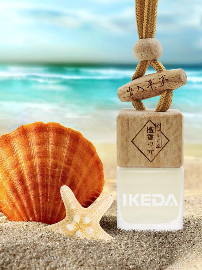 Ikeda Car Air Freshener: Hanging Car Smell Air Freshener | 10ml Hanging Car Perfume | Long Lasting Fragrance | Strong Scents Diffuser for Auto Home (Memory|Square)