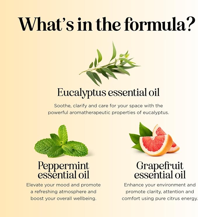 Focus Essential Oil Roll On - Aromatherapy Essential Oil Roller with Invigorating Pure Citrus and Mint Oils - Attention and Focus Essential Oil Blend with Eucalyptus Peppermint & Grapefruit (3 Pack)