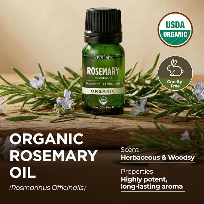 Gya Labs Organic Rosemary Essential Oil - 0.34 Fl Oz - for Skin, Hair, Diffuser, Aromatherapy, DIY Candle Making Scents