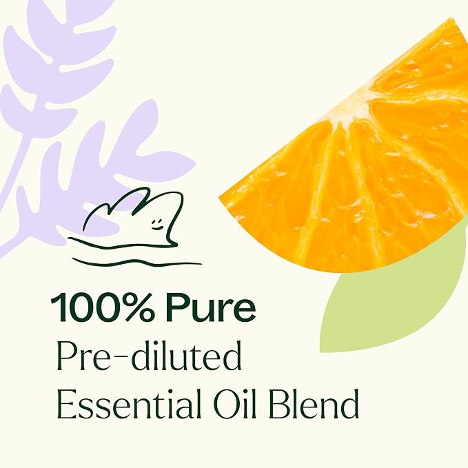 Plant Therapy Meditation Essential Oil Blend Pre-Diluted Roll-On 100 mL (1 oz) 100% Pure, Pre-Diluted, Calming Aromatherapy for Yoga, Mediation, and Self Care