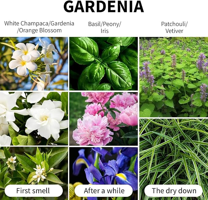 Gardenia Scented Candle 7oz Soy Wax Jar Candle Long Burning Aromatherapy Candle for Home Bedroom Gift for Women Men Housewarming New Home Gift