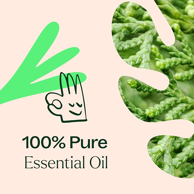 Plant Therapy Deodorizing Essential Oil Blend 30 mL (1 oz) 100% Pure, Undiluted, Therapeutic Grade