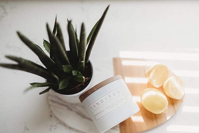 Sand + Fog Scented Candles - Pumpkin Harvest - Additional Scents and Sizes - 3 Wicks 100% Cotton Lead-Free - Luxury Air Freshening Jar Candles - Perfect Home Decor - 21 oz