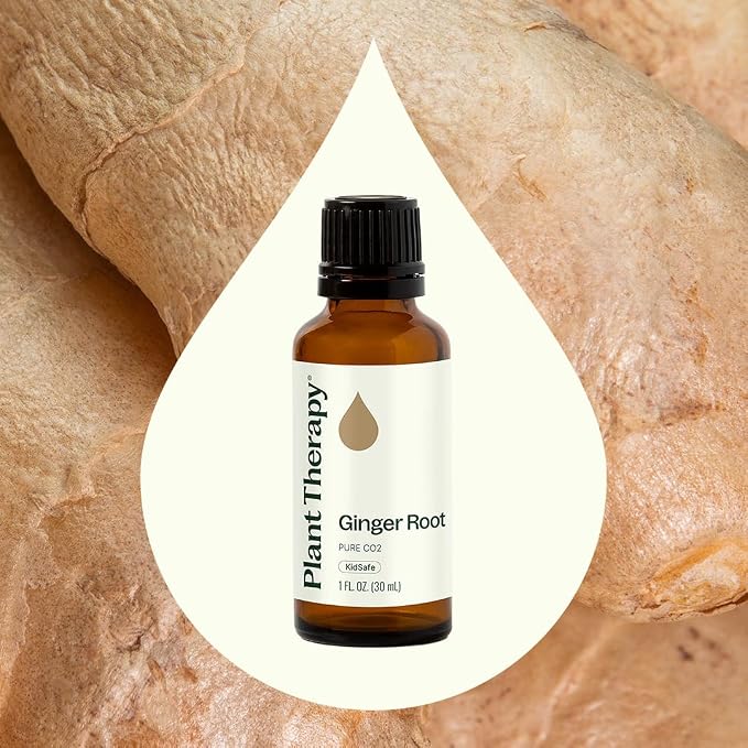 Plant Therapy Ginger Root CO2 Essential Oil 30 mL (1 oz), 100% Pure, Undiluted, Digestion Support and Aromatherapy