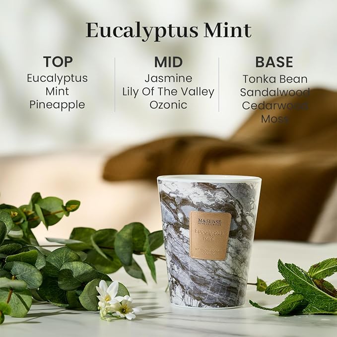 M&SENSE Eucalyptus Mint Scented Soy Candle, 3 Wick Highly Scented 14.1 Oz 75H, Aromatherapy Christmas Gift for Women and Men