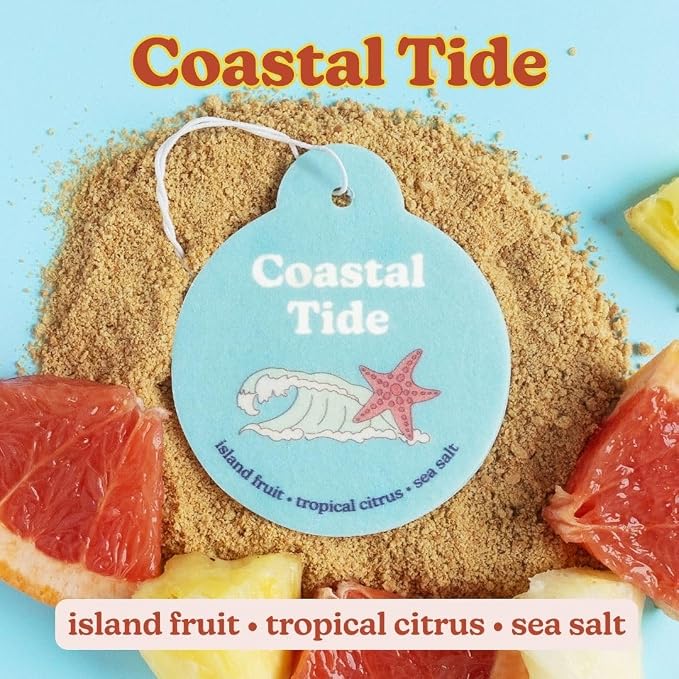 Happy Wax Summer Mix Car Charms 4-Pack Included Scents: Coastal Tide, Bronzed Coconut, Tropical Citrus, Florence