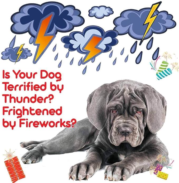 The Blissful Dog Neopolitan Mastiff Relax Roll-ON Aromatherapy for Dogs - Anxiety Relief for Dogs