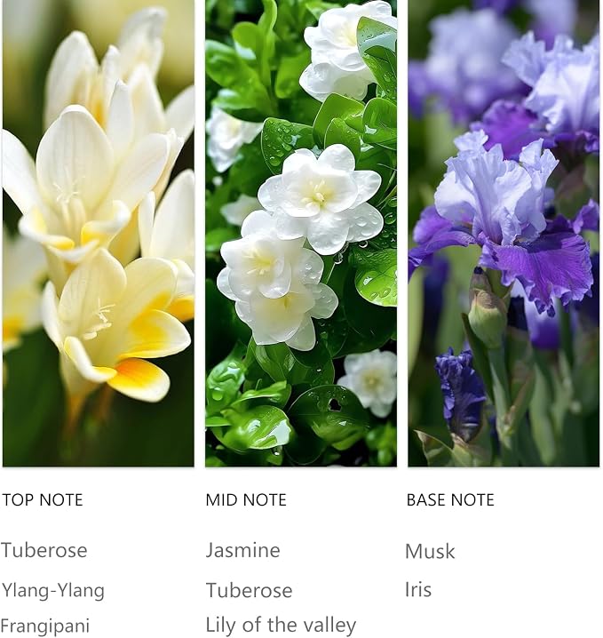 20ml Ylang Ylang Waterless Essential Oil, Sensual Tuberose Jasmine Luxury Hotel Scent for Diffusser, Romantic Aromatherapy Oil for Home, Ofice, Car & Spa